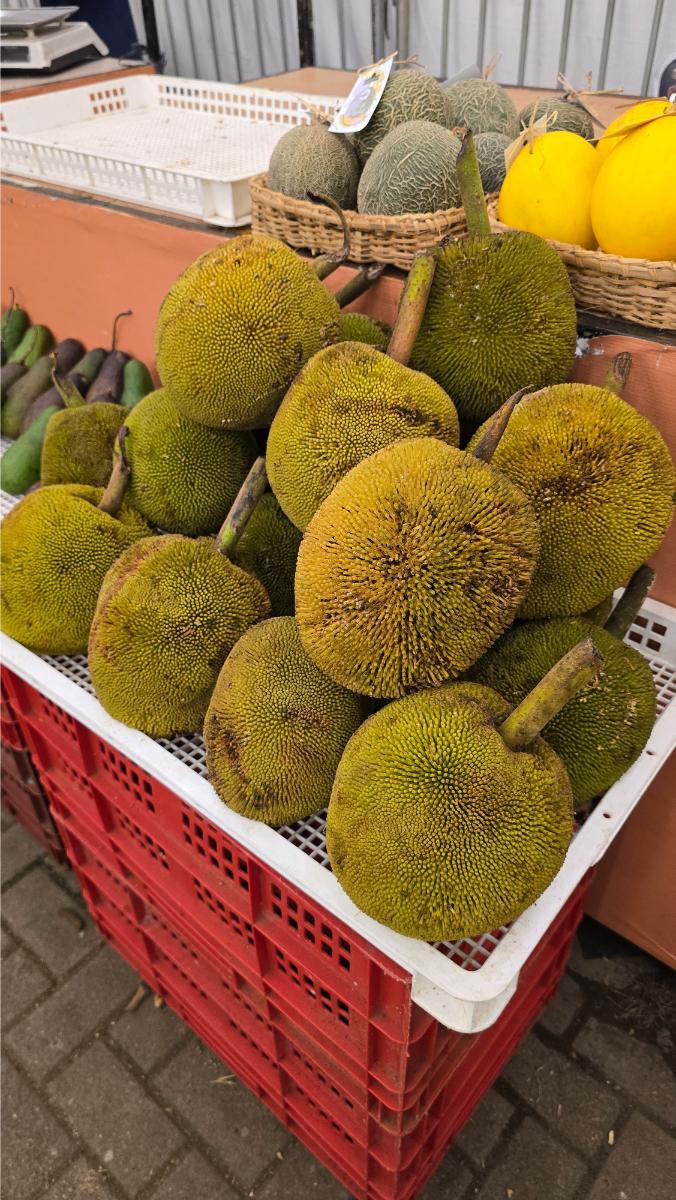 sm_lanang_durian_popup