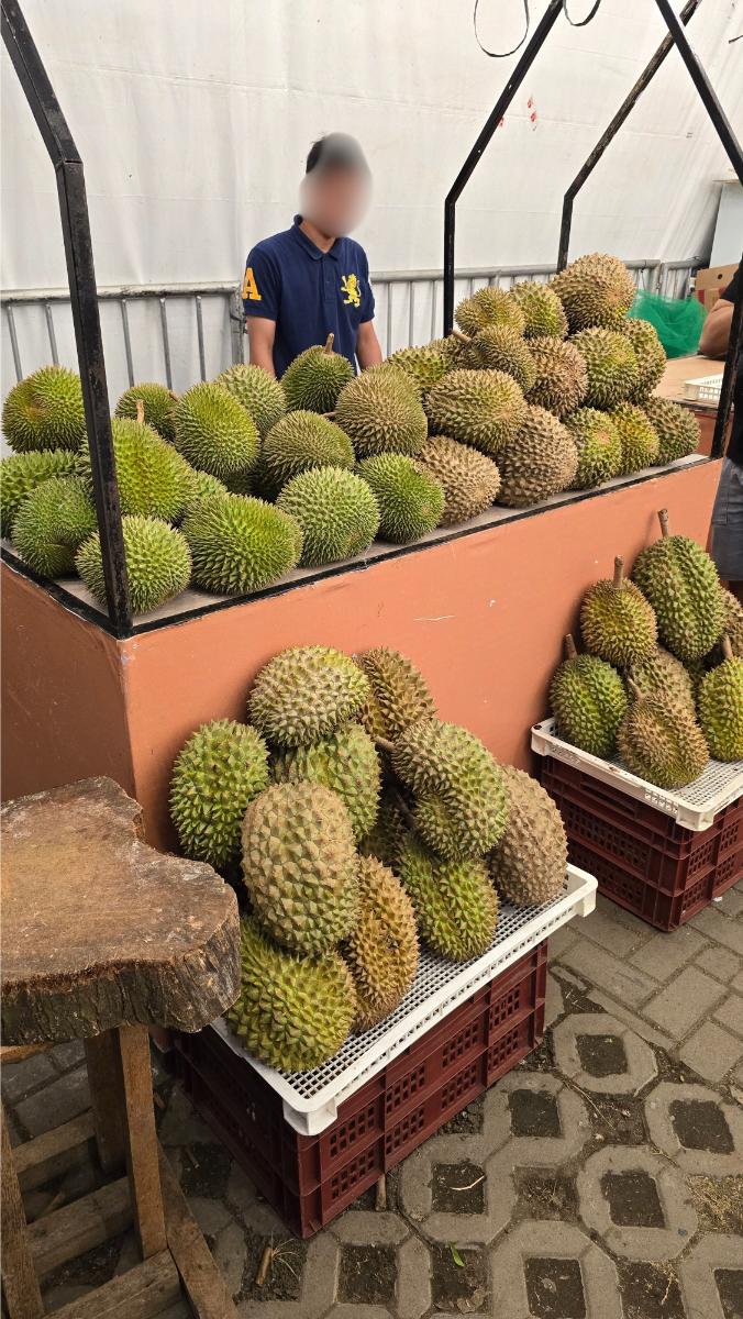 sm_lanang_durian_popup