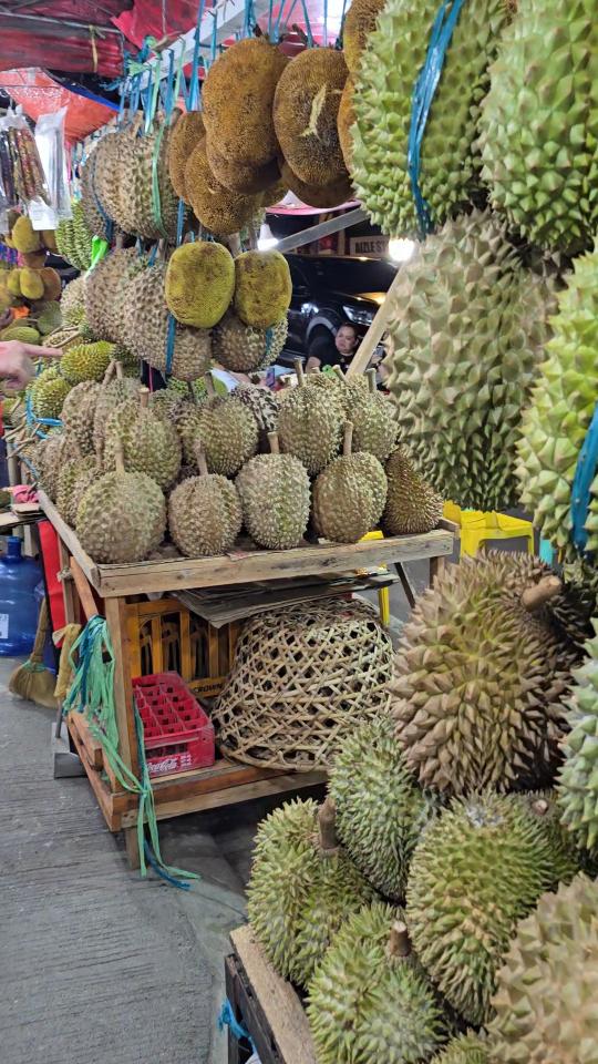 magsaysay_durian