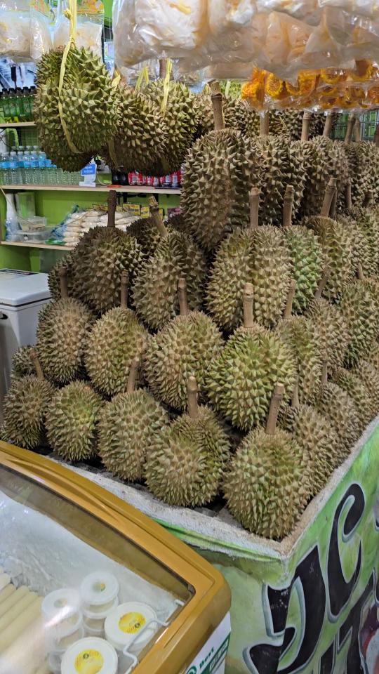 magsaysay_durian