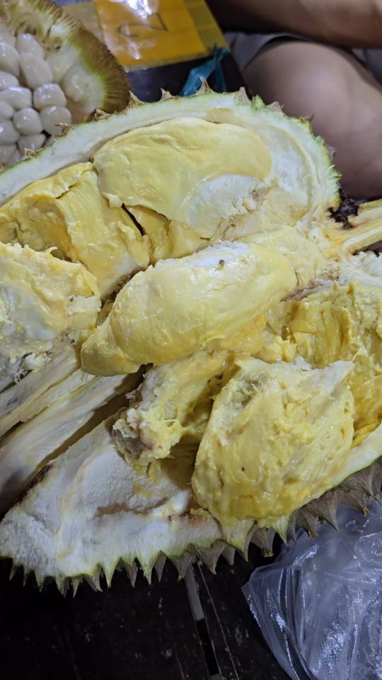 magsaysay_durian