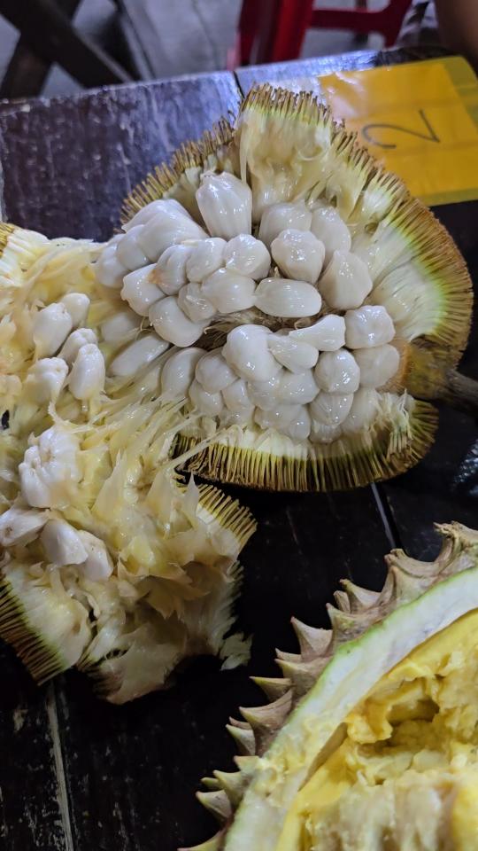 magsaysay_durian