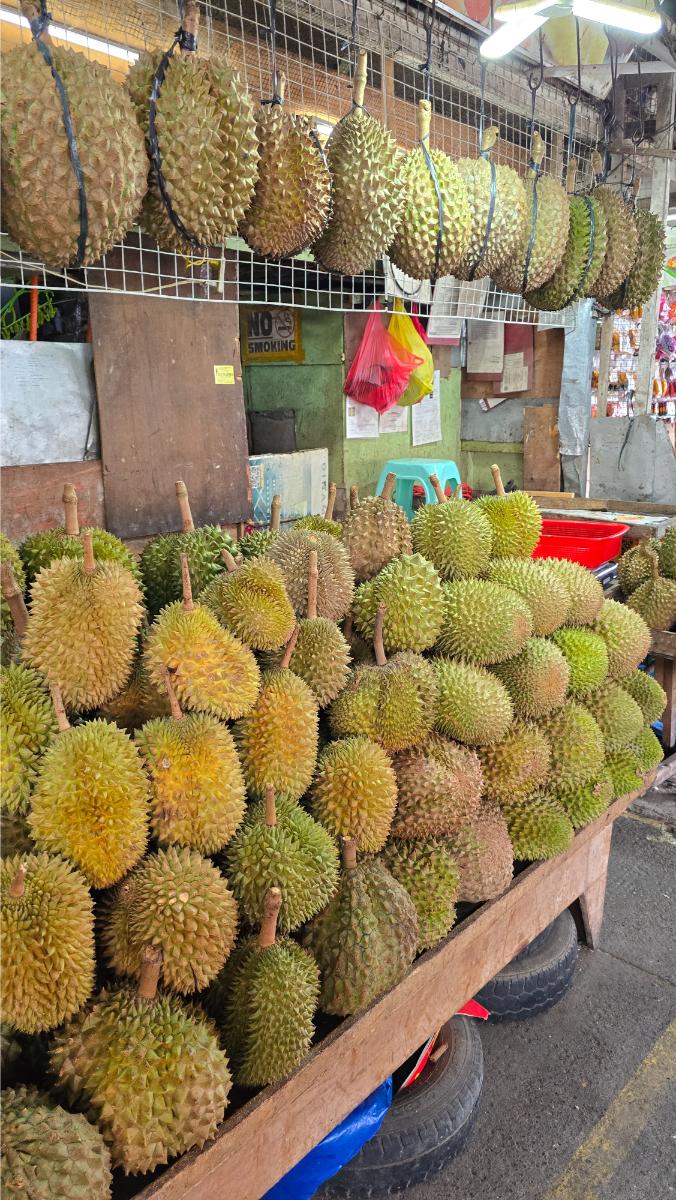 sm_lanang_durian_popup