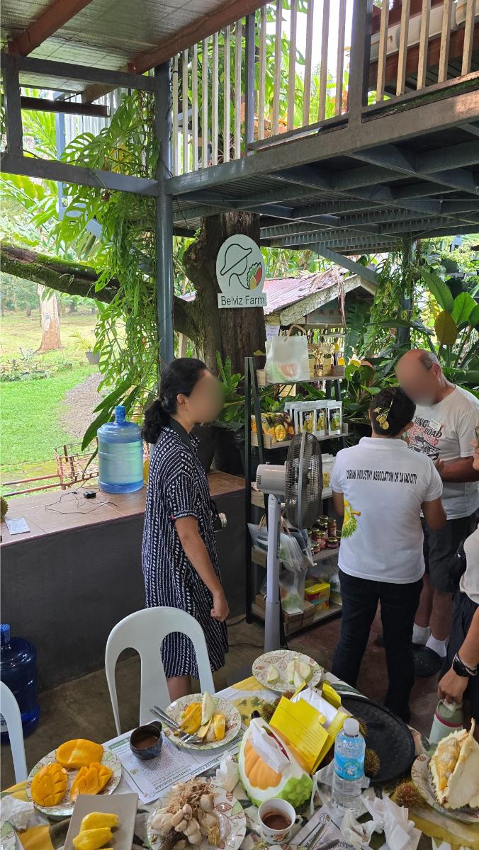 belviz_durian_farms_davao