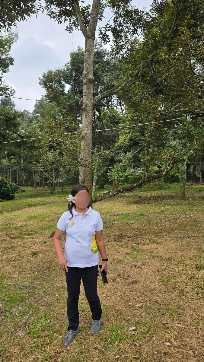 belviz_durian_farms_davao