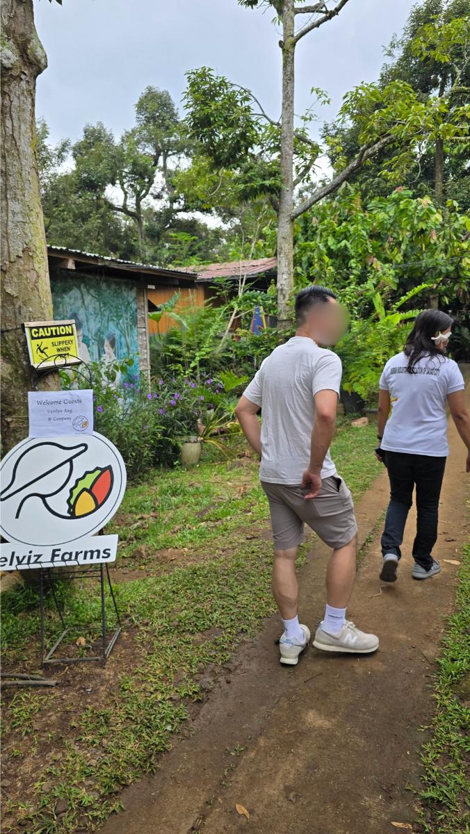 belviz_durian_farms_davao