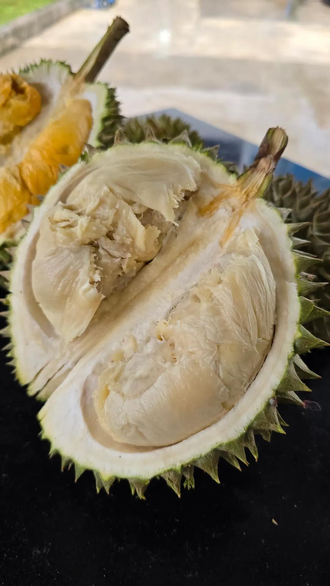 capri durian