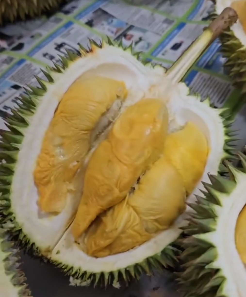 d101 durian