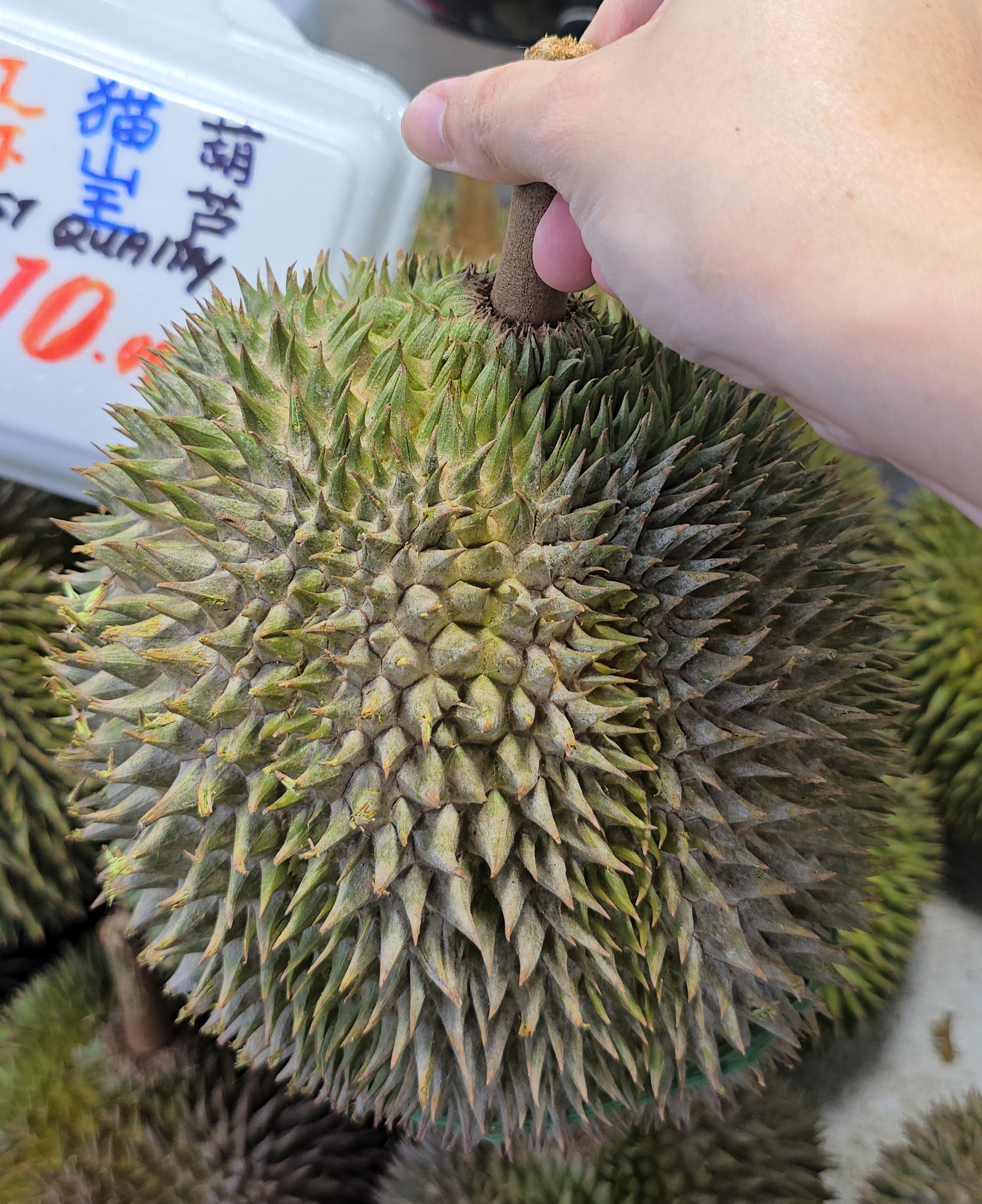 d101 durian