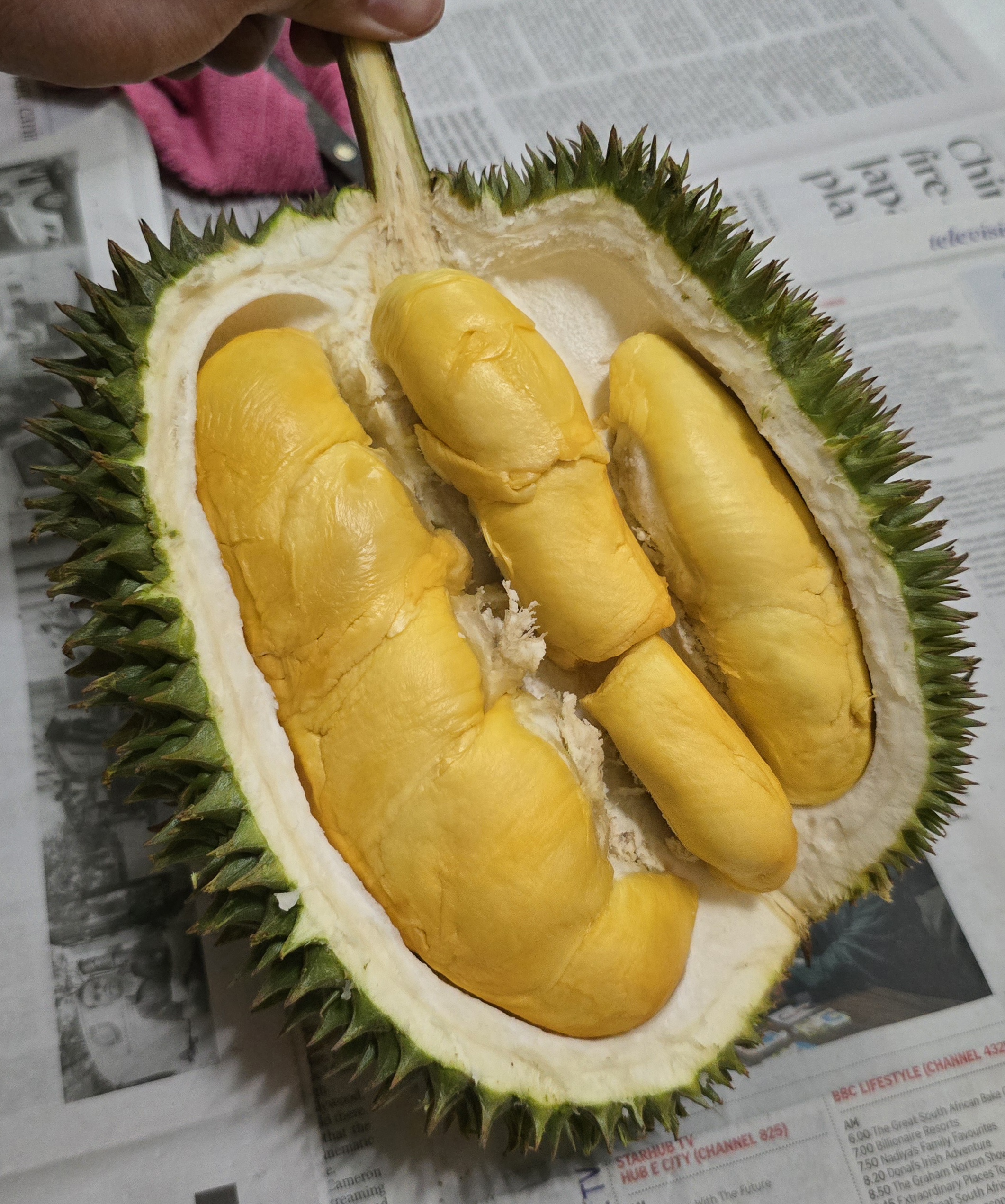 d101 durian