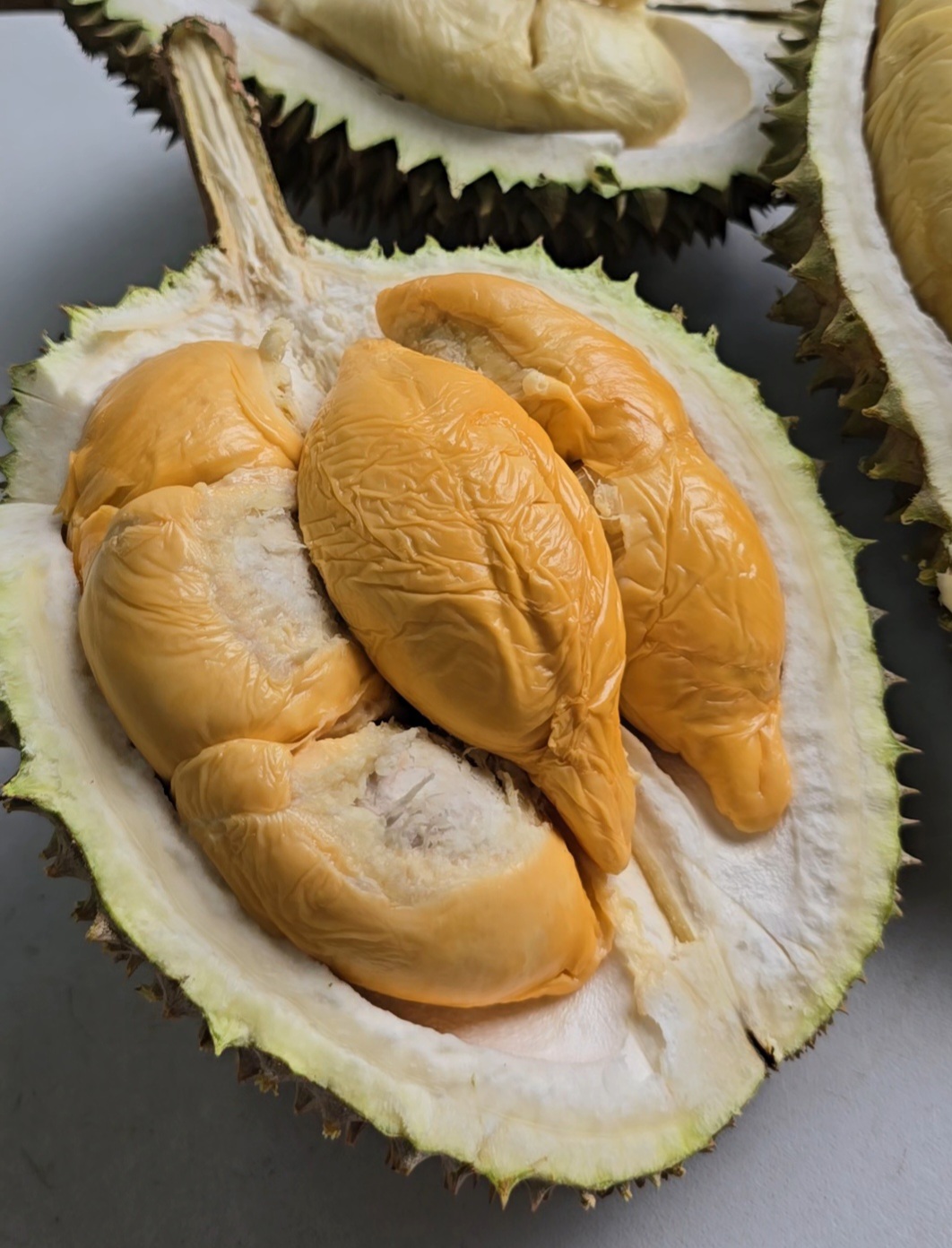 d13 durian