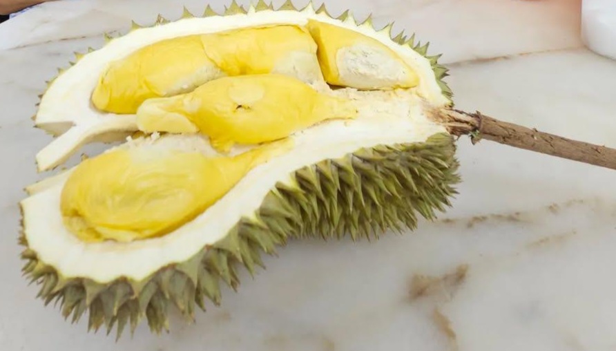 d163 hor lor durian