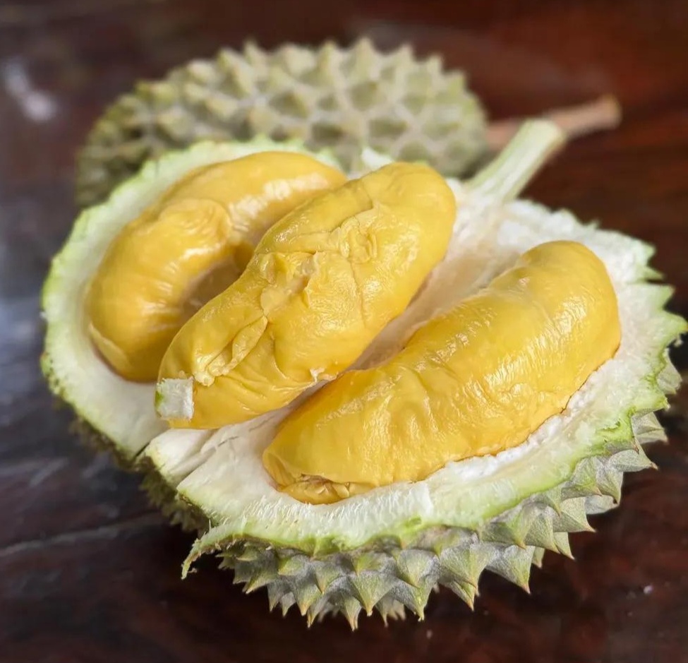 musang king durian
