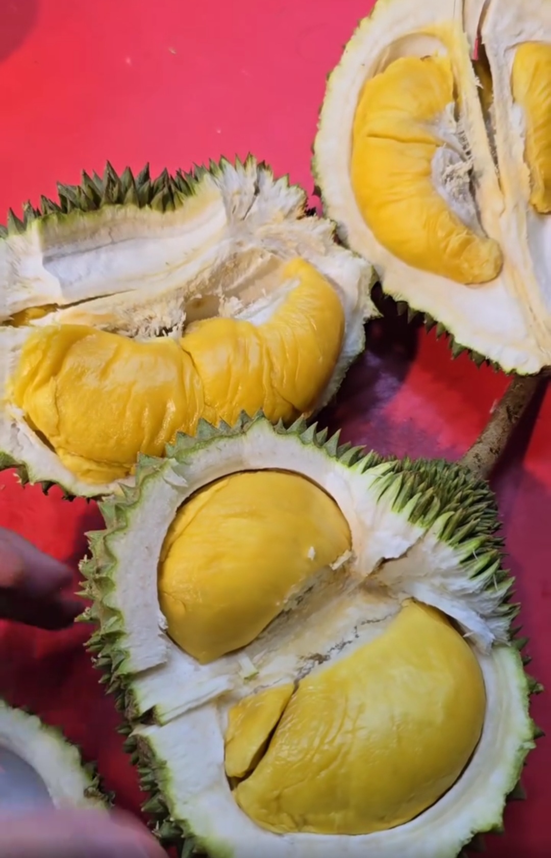 musang king durian