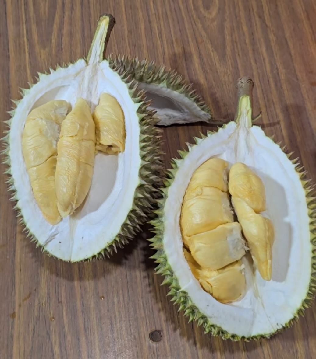 d1 durian