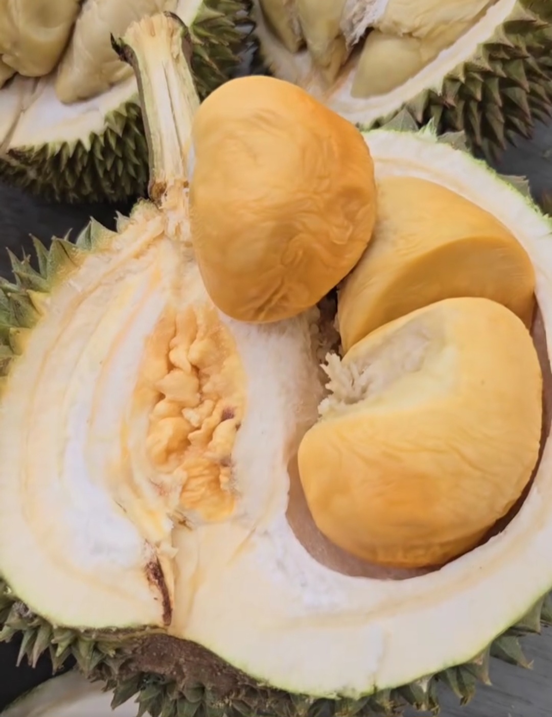 black thorn durian