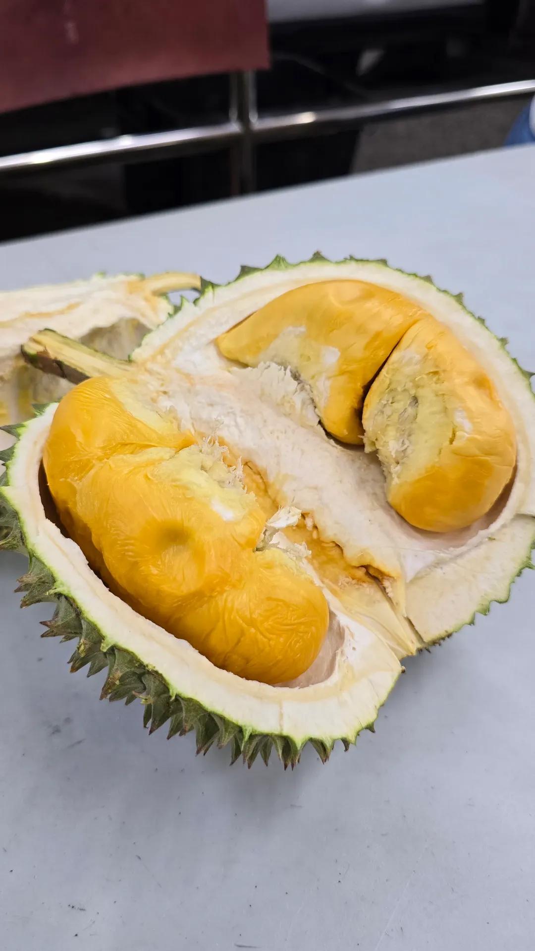 black thorn durian