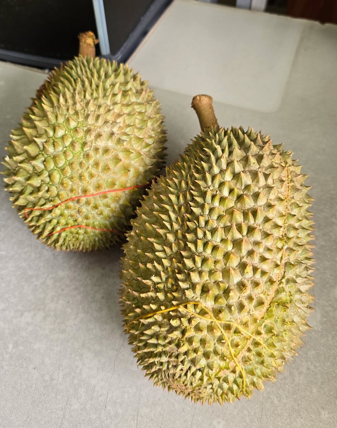 d2 durian