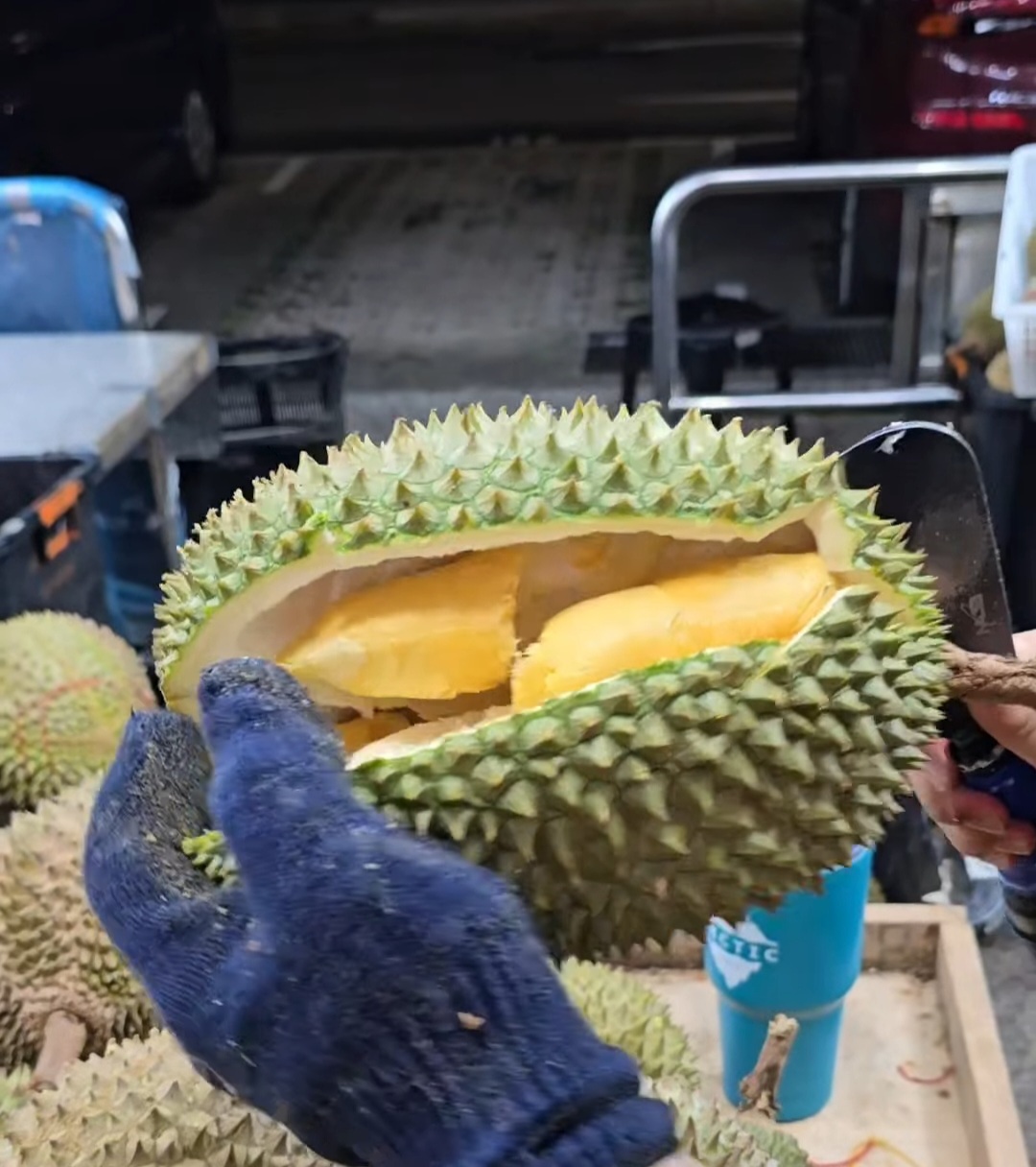 d2 durian