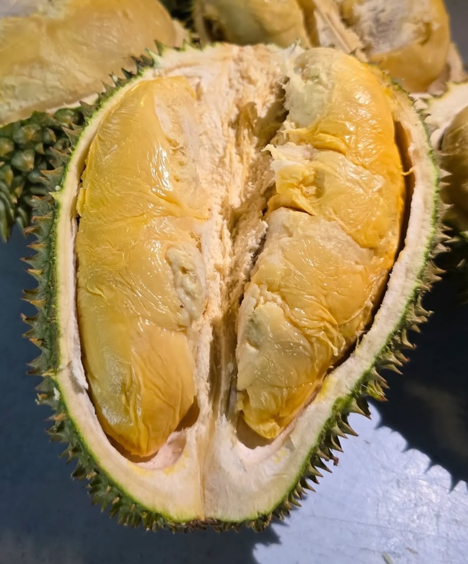 d2 durian