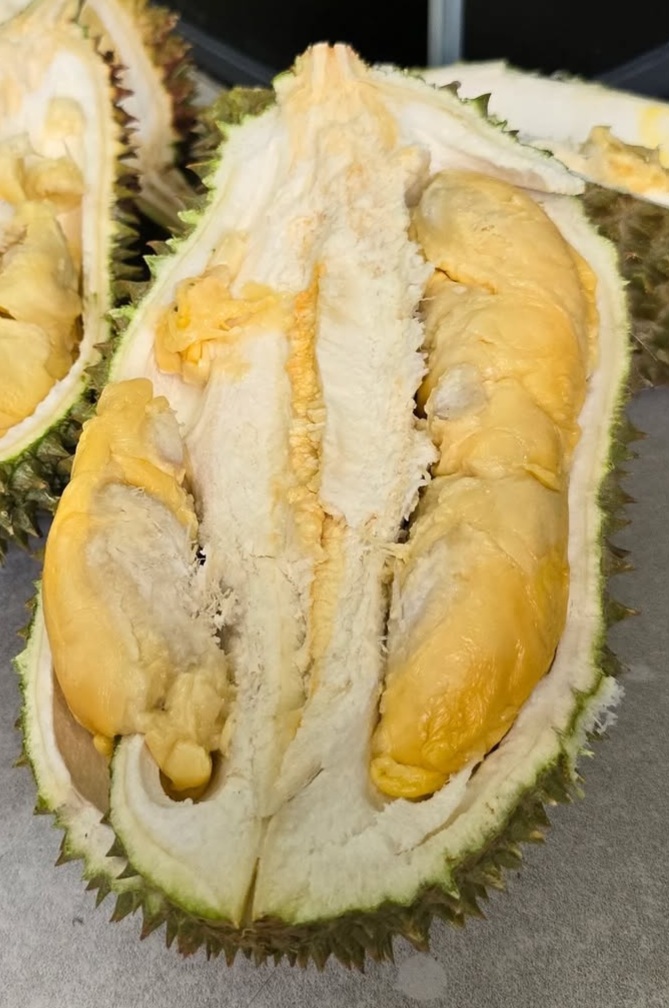 d2 durian
