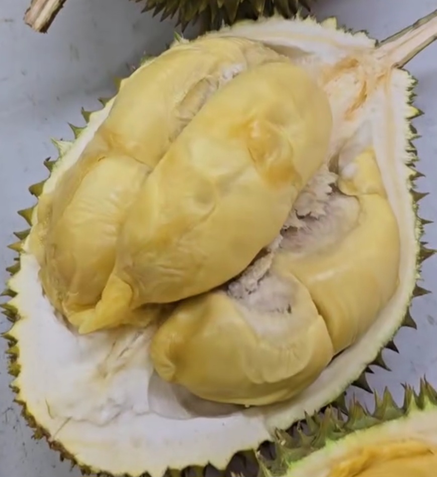 d78 durian