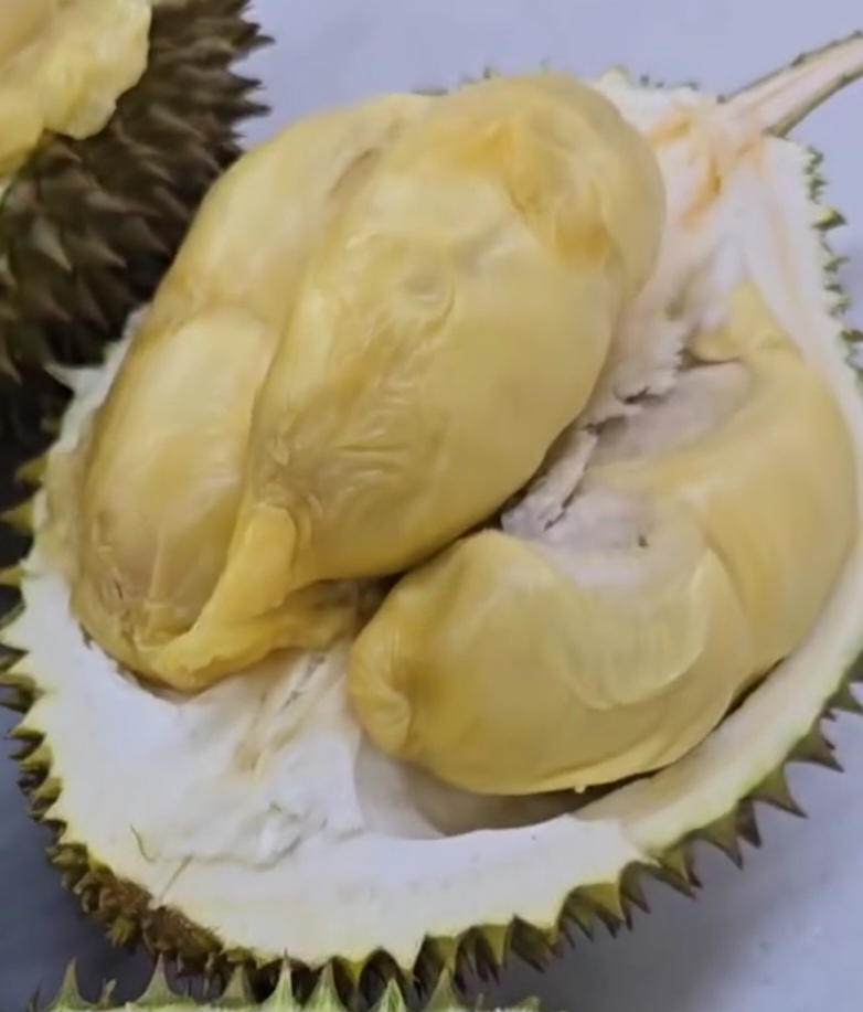 d78 durian