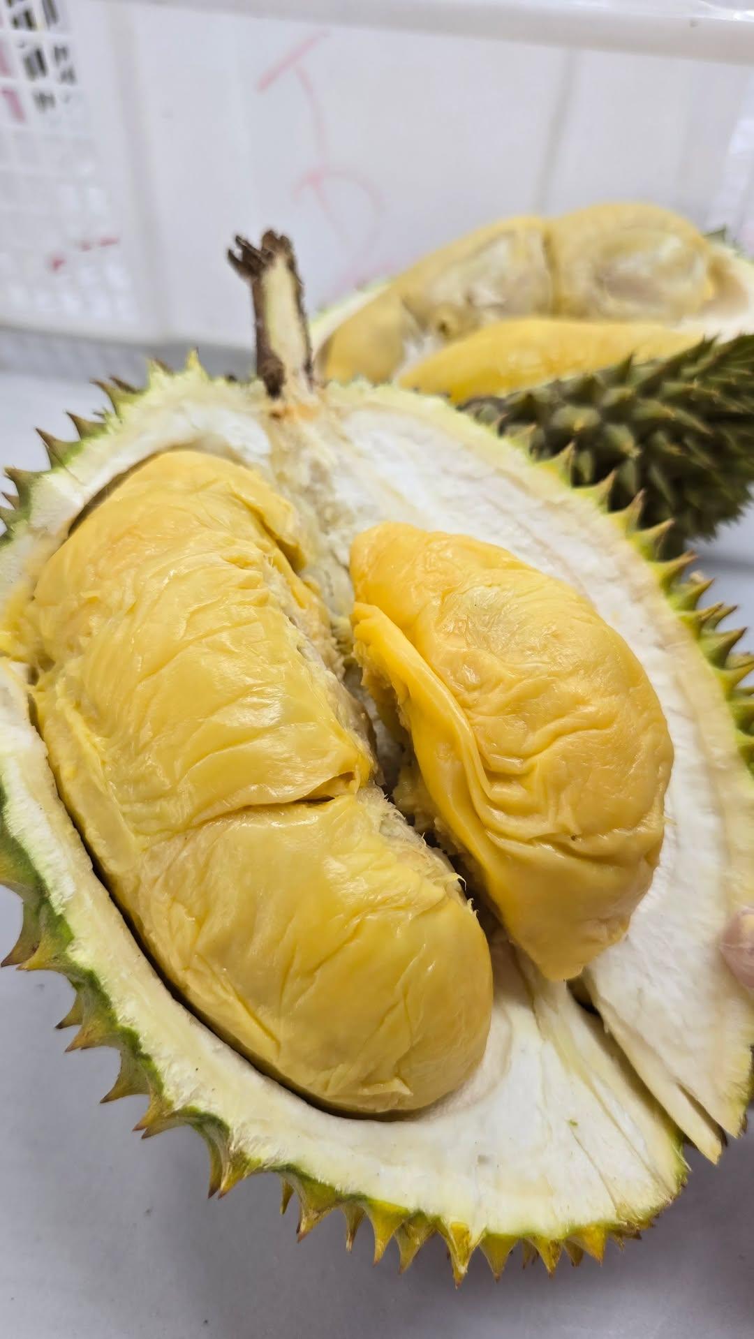 d88 durian