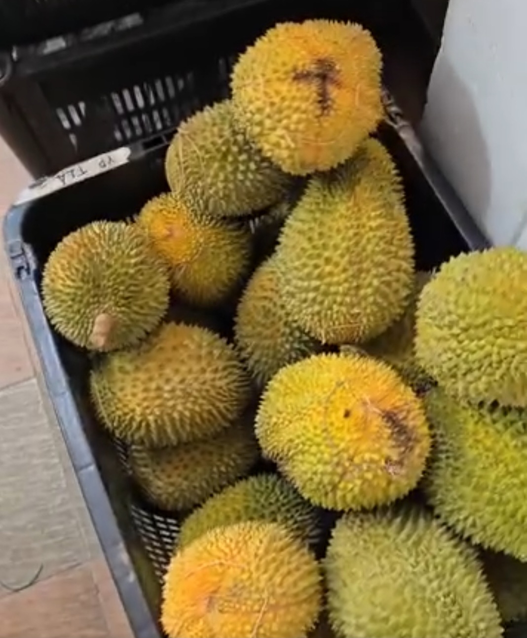 dong lai durian