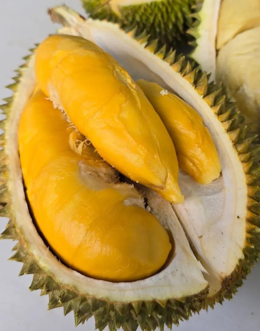 dong lai durian