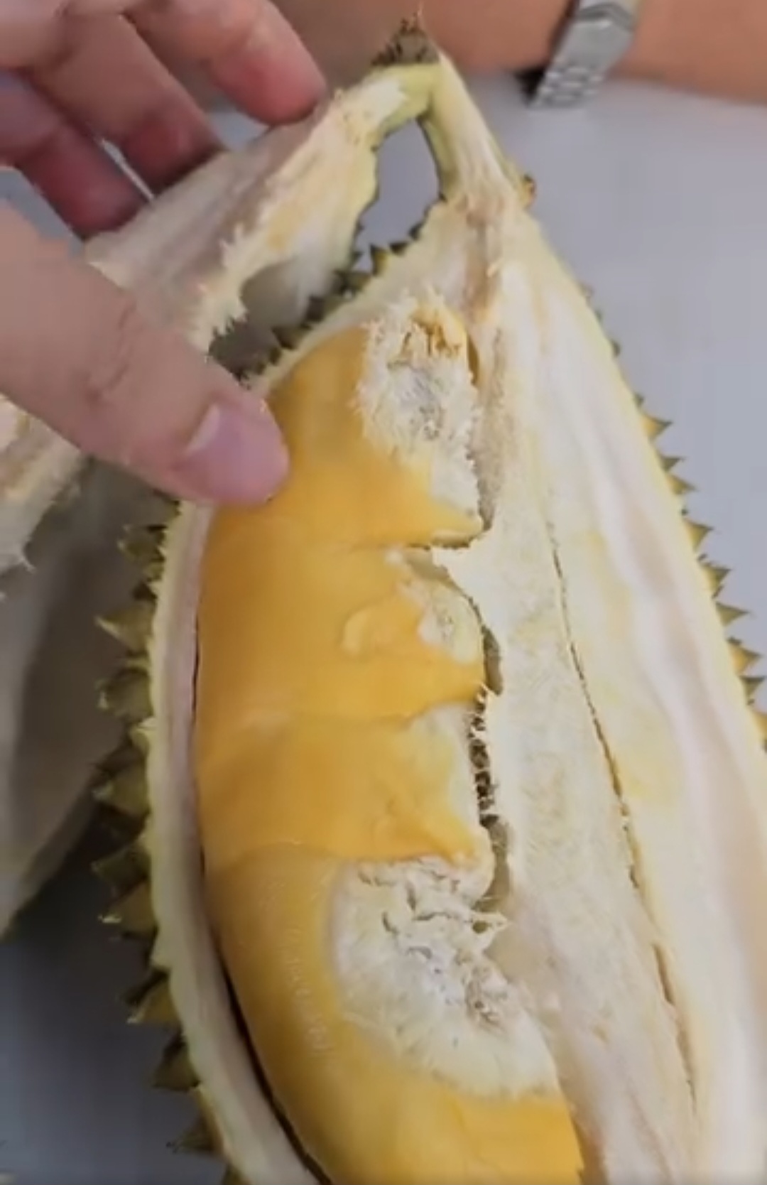 dong lai durian