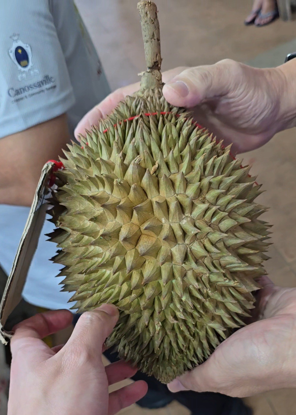 envy flower durian