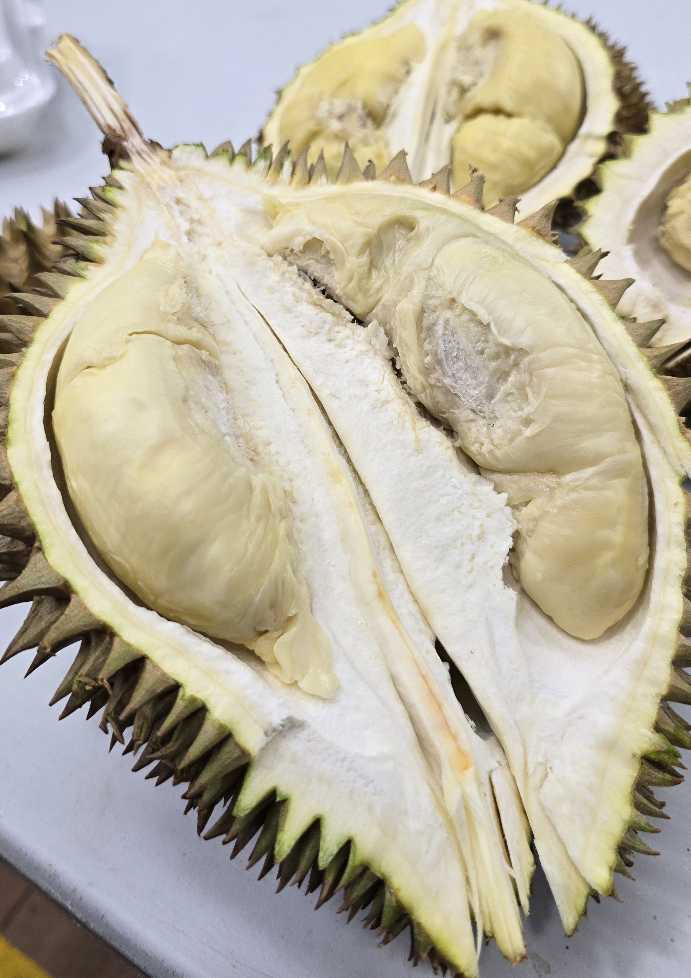 envy flower durian