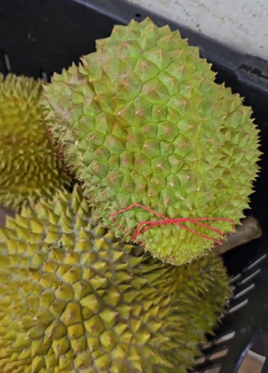 glutinous rice durian