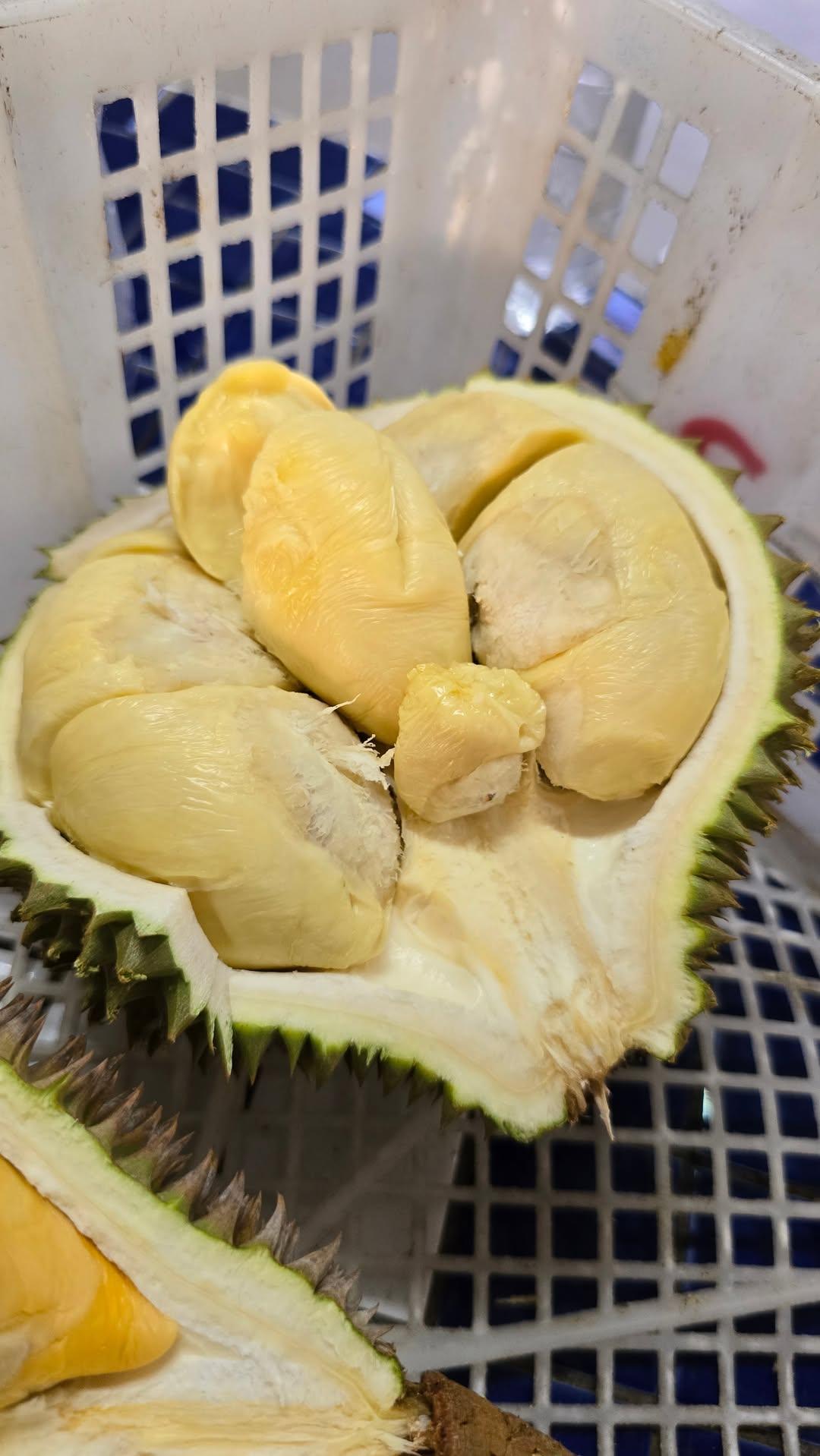 glutinous rice durian