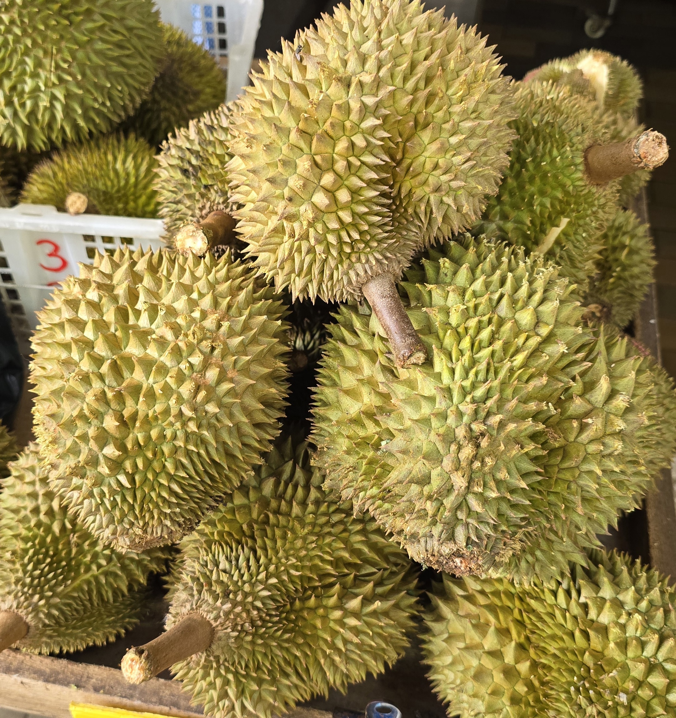 glutinous rice durian