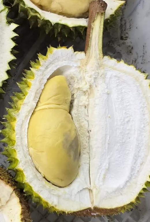 green skin durian