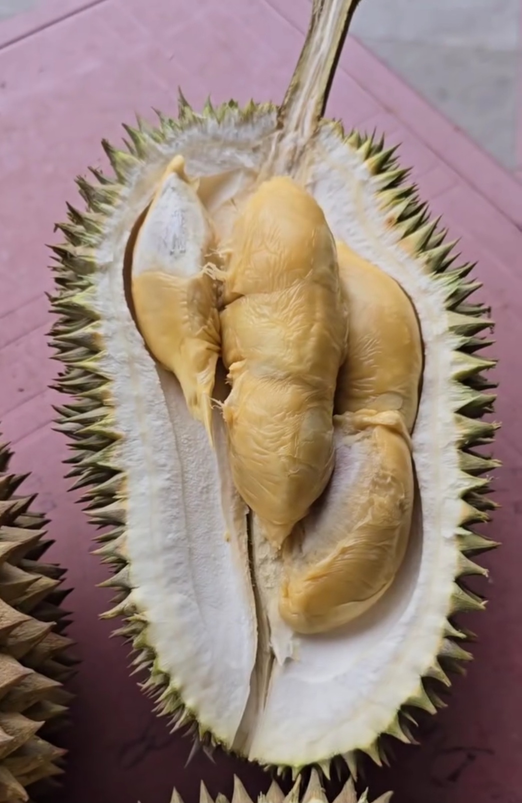 kim leng durian