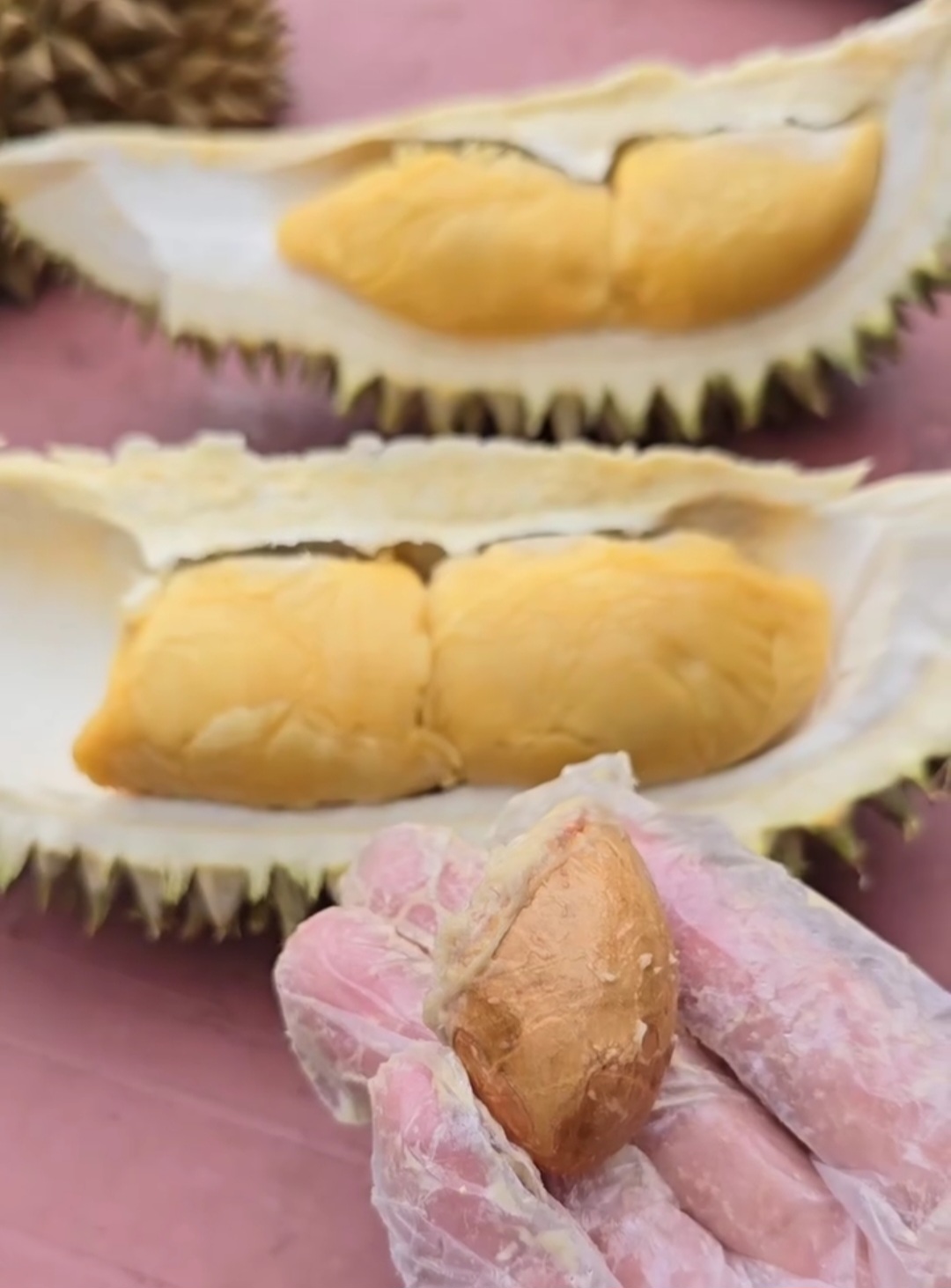 kim leng durian