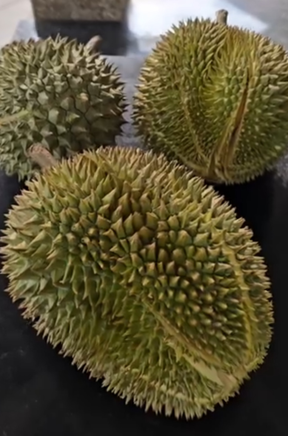 khun poh durian