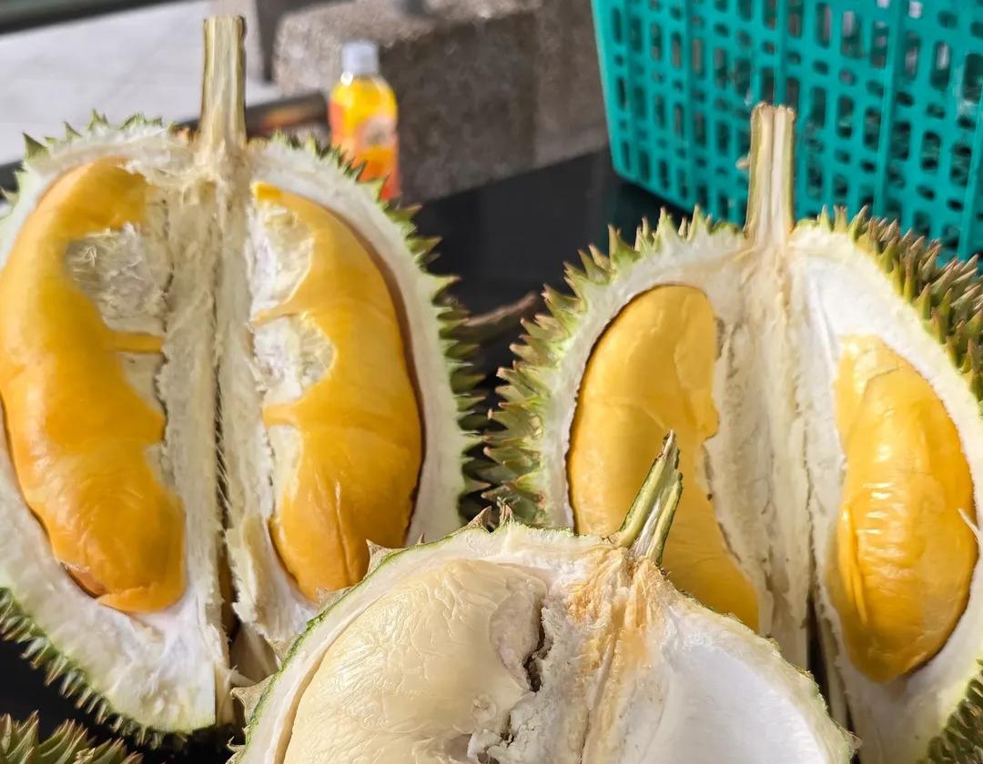 khun poh durian