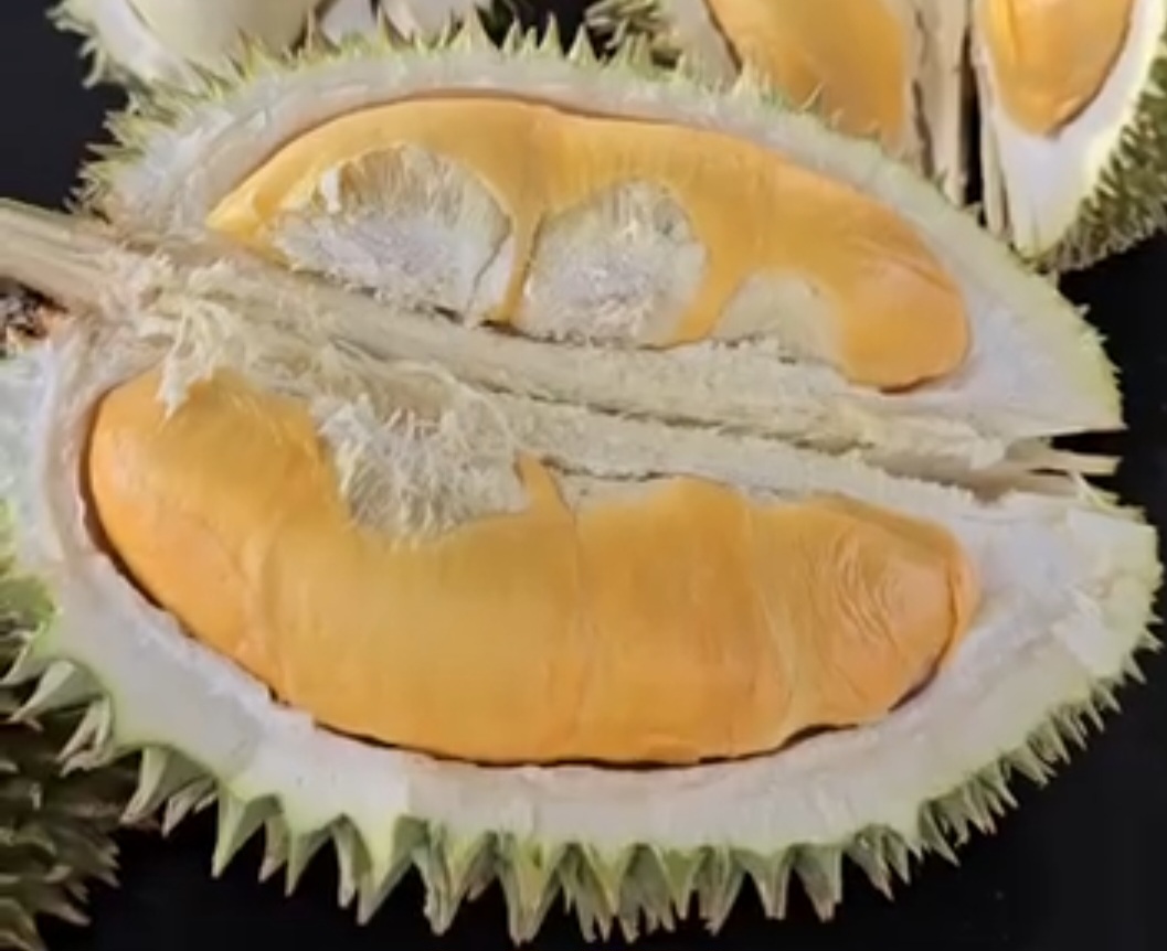 khun poh durian
